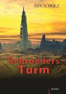 Rex Schulz Schroeders Turm обложка книги