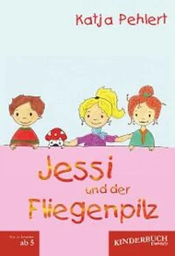 Katja Pehlert Jessi und der Fliegenpilz обложка книги