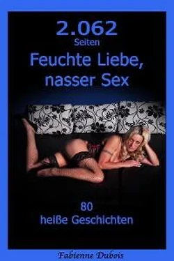 Fabienne Dubois 2062 Seiten Feuchte Liebe, nasser Sex обложка книги