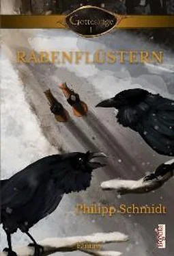 Philipp Schmidt Rabenflüstern обложка книги