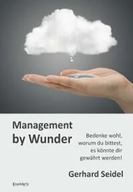 Gerhard Seidel Management by Wunder обложка книги