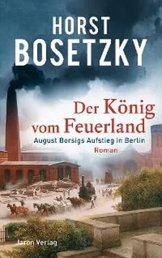 Horst Bosetzky Der König vom Feuerland обложка книги