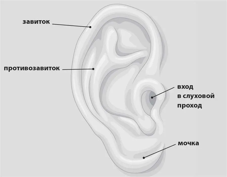 Поскольку наружный слуховой проход имеет общую стенку с височнонижнечелюстным - фото 4