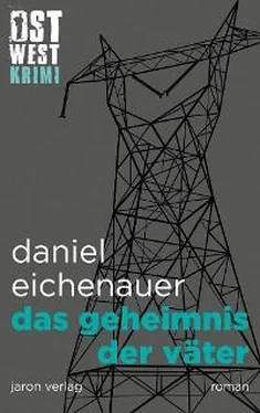 Daniel Eichenauer Das Geheimnis der Väter обложка книги