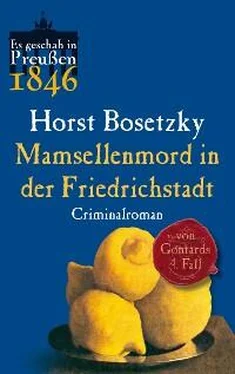 Horst Bosetzky Mamsellenmord in der Friedrichstadt обложка книги