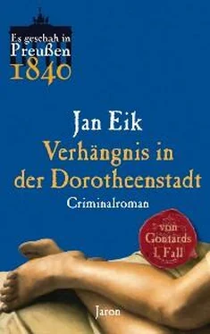 Jan Eik Verhängnis in der Dorotheenstadt обложка книги