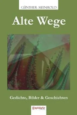 Dr. Günther Meinhold Alte Wege обложка книги