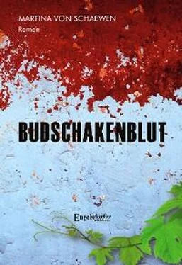 Martina von Schaewen Budschakenblut обложка книги
