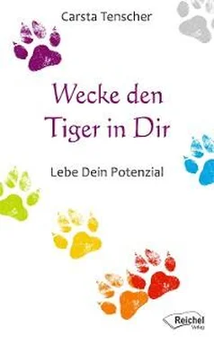 Carsta Tenscher Wecke den Tiger in Dir обложка книги