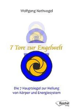 Wolfgang Nothvogel 7 Tore zur Engelwelt обложка книги