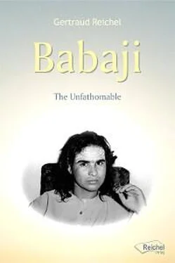 Gertraud Reichel Babaji - The Unfathomable обложка книги