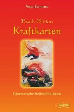 Peter Bernhard Bach-Blüten Kraftkarten обложка книги