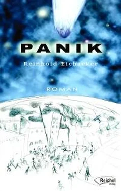 Reinhold Eichacker Panik обложка книги