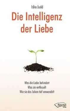 Isha Judd Die Intelligenz der Liebe обложка книги