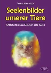 Gudrun Weerasinghe - Seelenbilder unserer Tiere