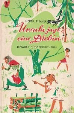 Herta Fischer Ursula jagt eine Diebin обложка книги