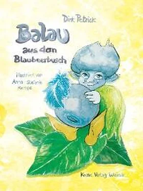 Dirk Petrick Balau aus dem Blaubeerbusch обложка книги