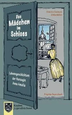 Ulrike Müller Das Mädchen im Schloss обложка книги