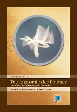 Nicholas Handoll Die Anatomie der Potency обложка книги