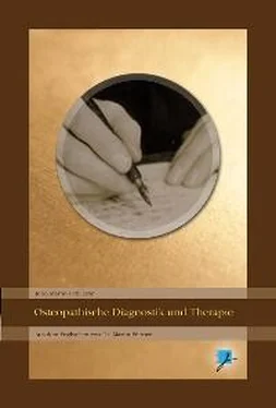John Martin Littlejohn Osteopathische Diagnostik und Therapie обложка книги