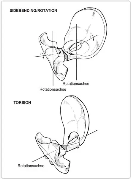 ZEICHNUNG I16 SCHEMATISCHE DARSTELLUNGEN DER MUSTER DER SPHENOBASILAREN - фото 26