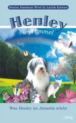Henley Harrison West - Henley im Himmel