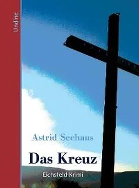 Astrid Seehaus Das Kreuz обложка книги