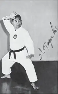 Foto 3 Foto 3 Tôguchi Seikichi Sensei vom Shôrei kan beim Vorführen der - фото 8