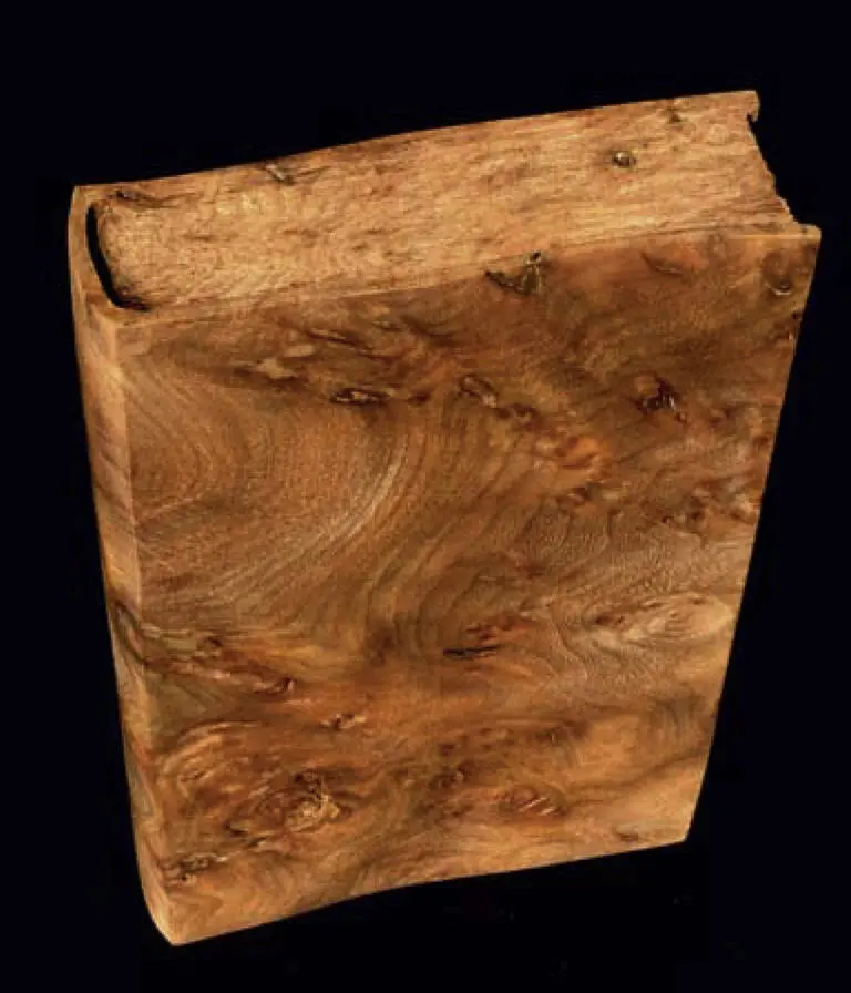 Abbildung 7 Rüstermaser als Holzbuch Abbildung 8 FlatterUlme als - фото 14