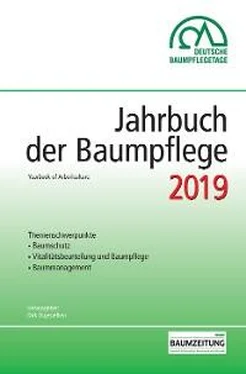 Неизвестный Автор Jahrbuch der Baumpflege 2019 обложка книги