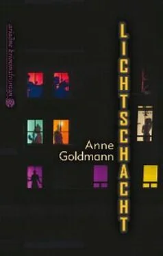 Anne Goldmann Lichtschacht обложка книги