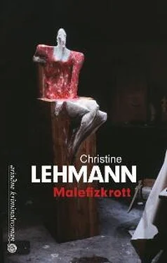 Christine Lehmann Malefizkrott обложка книги