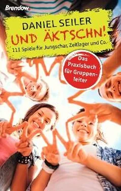 Daniel Seiler Und Äktschn! обложка книги