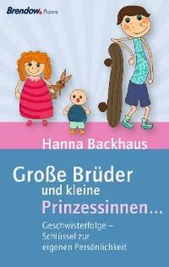 Hanna Backhaus Große Brüder und kleine Prinzessinnen ... обложка книги