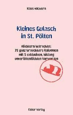 Klaus Nüchtern Kleines Gulasch in St. Pölten обложка книги