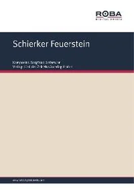 Siegfried Bethmann Schierker Feuerstein обложка книги