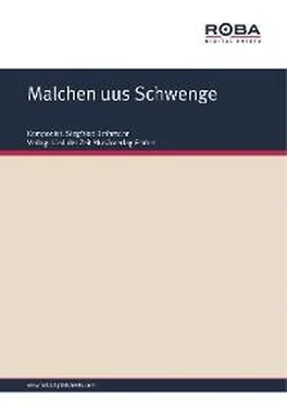 Siegfried Bethmann Malchen uus Schwenge обложка книги