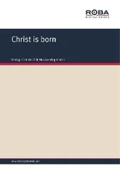 traditional - Christ is born