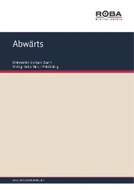 Jacques Zwart Abwärts обложка книги