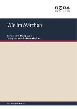 Dieter Schneider Wie im Märchen обложка книги