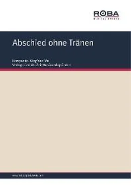 Siegfried Mai Abschied ohne Tränen обложка книги