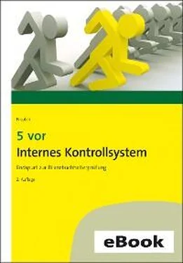 Hans J. Nicolini 5 vor Internes Kontrollsystem обложка книги