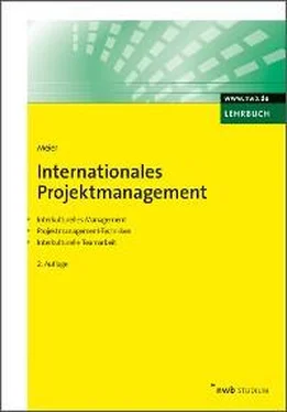 Harald Meier Internationales Projektmanagement обложка книги