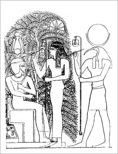 Der heilige Baum von Heliopolis mit Thot und der Göttin Seschat Sowohl die - фото 25