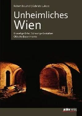 Gabriele Lukacs Unheimliches Wien обложка книги