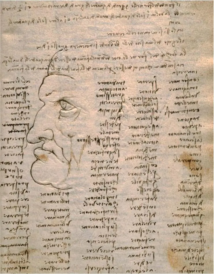Leonardos Spiegelschrift im Codex Trivulzianus Castello Sforza Leonardo da - фото 18