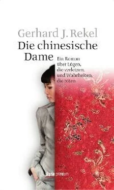 Gerhard J. Rekel Die chinesische Dame обложка книги