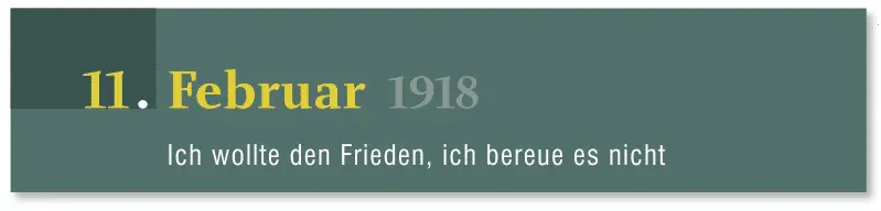 Der Matrosenaufstand in Cattaro ÖsterreichUngarns NaturKriegshafen Cattaro - фото 81