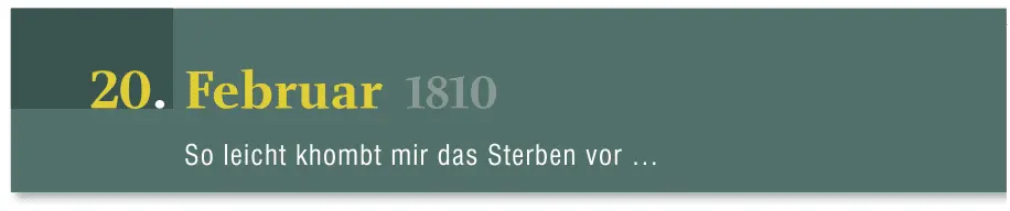 Die Erschießung Andreas Hofers Mantua die alte österreichische Festung in der - фото 100