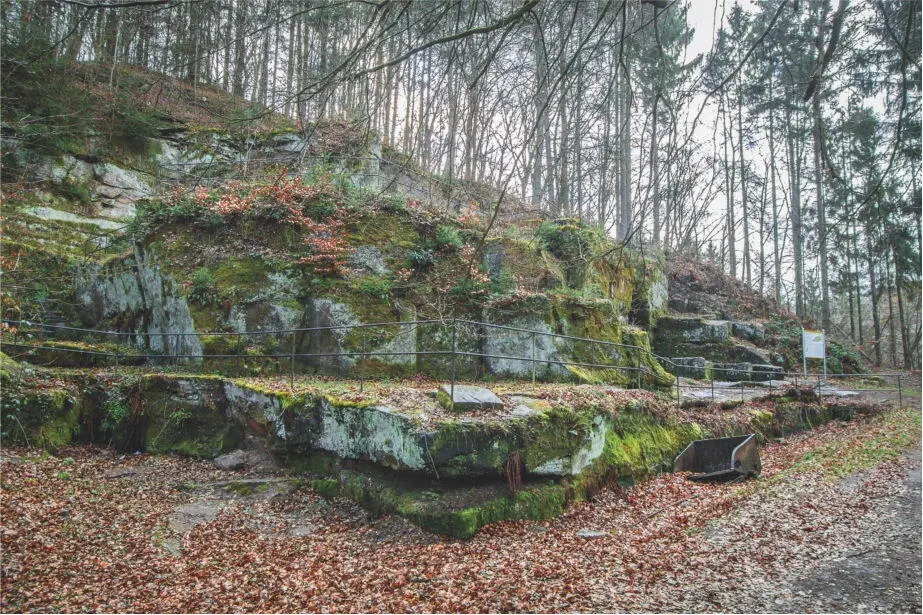 Abb 18Römisches Bergwerk und Steinbruch zwischen Kordel und Butzweiler Abb - фото 25